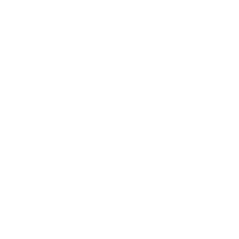Festival de Malaga